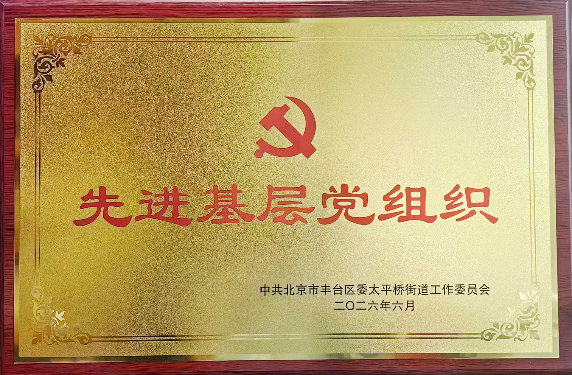 喜报｜党建引领践初心 载誉前行庆华诞——尊龙凯时人生就是搏·（中国区）官方网站招标集团党支部获评辖区“优秀基层党组织”